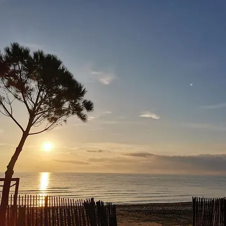 Duplex Port Lejlighed